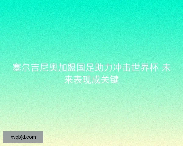 塞尔吉尼奥加盟国足助力冲击世界杯 未来表现成关键