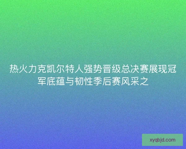 热火力克凯尔特人强势晋级总决赛展现冠军底蕴与韧性季后赛风采之